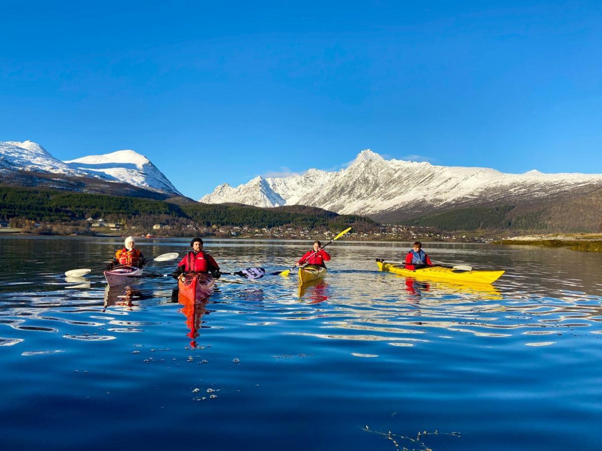 Solhov, Castle Of The Lyngen Alps Hotel Lyngseidet Exterior foto